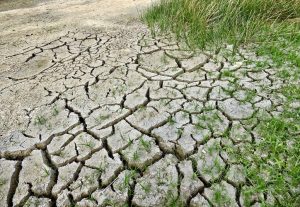 El apartheid climático.