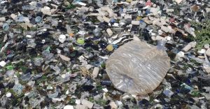 Toneladas de basura y cristales desbordan la única planta de reciclaje de vidrio en Madrid.