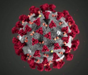 Ultimátum a los humanos. El coronavirus: Una advertencia radical y seria.