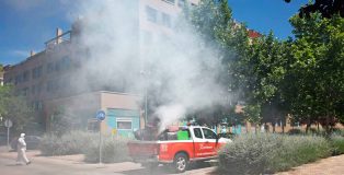 Asociaciones ecologistas de Madrid reclaman medidas preventivas para evitar el uso de pesticidas.