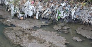 El río Jarama convertido en un colector de residuos y aguas fecales.