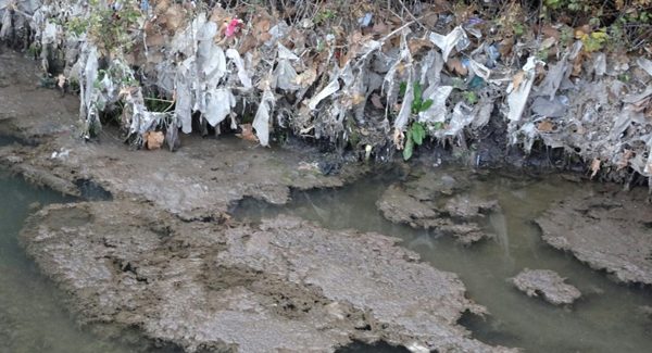 El río Jarama se ha convertido en un colector de todo tipo de residuos y aguas fecales