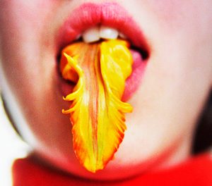 'Los tigres no pueden esperar eternamente', de Sonia Fides.