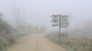 Una vida brota alrededor, sobre 'Niadela' de Beatriz Montañez.