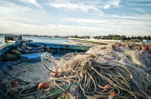 Redes vacías: la sobreexplotación de los recursos pesqueros y la pesca ilegal