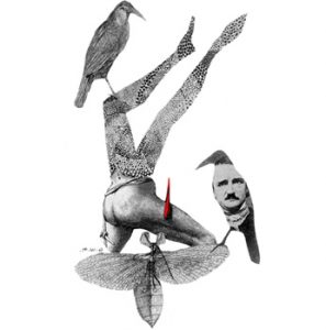 Nueva edición de El necrófilo, de Gabrielle Wittkop, en la editorial Cabaret Voltaire.