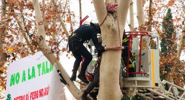 Defender cada árbol en Madrid