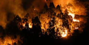 Sindicatos y ecologistas piden medidas urgentes contra los incendios.