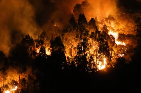 Sindicatos y ecologistas piden medidas urgentes contra los incendios