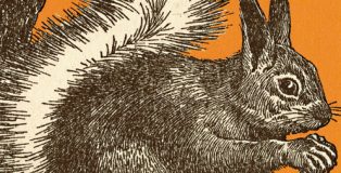 El último Pérez Galdós: la editorial Nocturna recupera la novela 'El caballero encantado'.