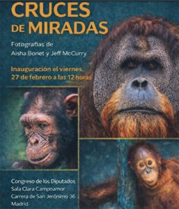 Cruces de miradas, exposición fotográfica sobre el mundo de los simios.