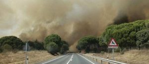 Carta abierta a la opinión pública de la Plataforma Ecologista Madrileña sobre los incendios forestales.