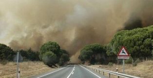 Carta abierta a la opinión pública de la Plataforma Ecologista Madrileña sobre los incendios forestales.