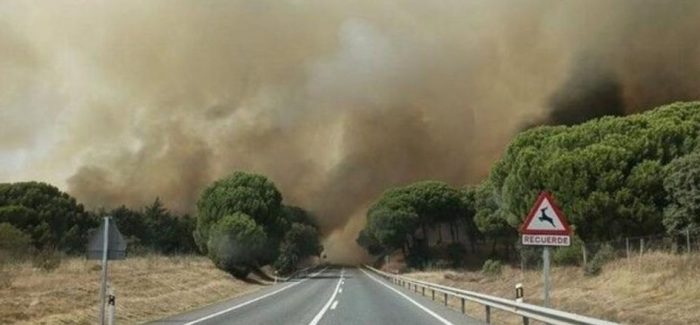 Carta a la opinión pública de la Plataforma Ecologista Madrileña sobre los incendios forestales